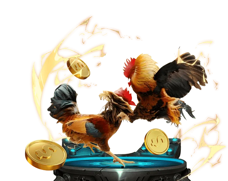 Hướng dẫn cá cược đá gà tại Bat8